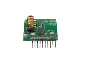 audio module wm8960